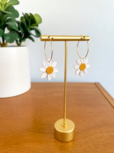 Load image into Gallery viewer, Daisy polymer clay earrings on gold hoops
